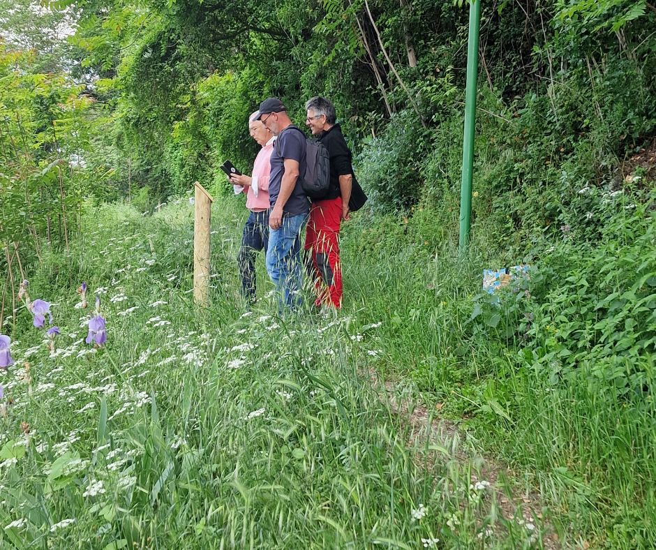 sentier numérique avec QR codes et vidéos sur les plantes