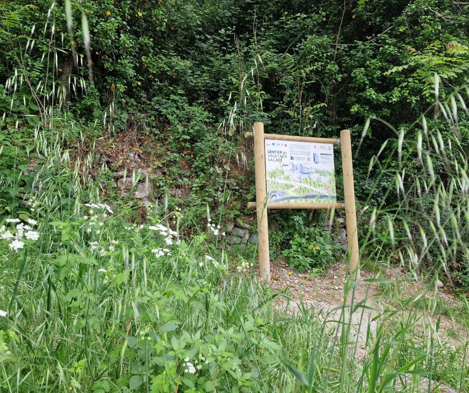 sentier numérique ethnobotanique végétaux sacrés Venasque projet Leader européen